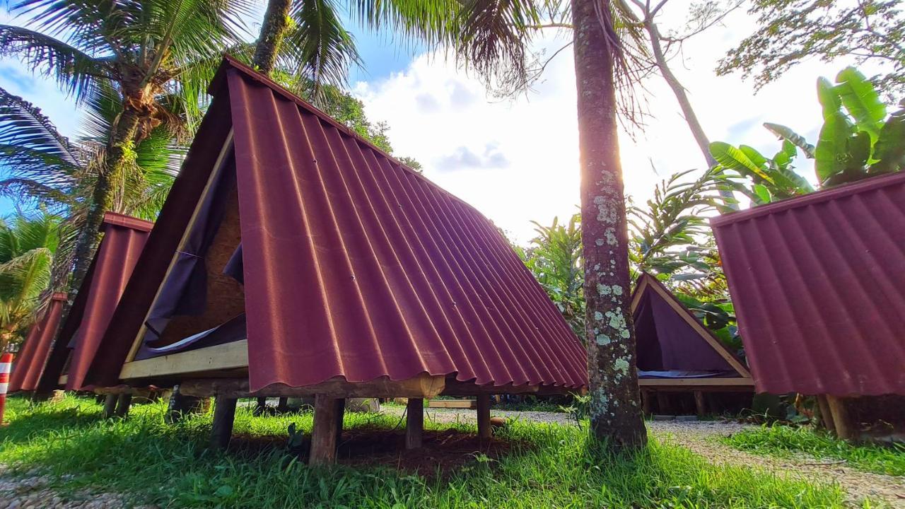 Base Camp, Guest House, Surf House , Itamambuca, Убатуба Экстерьер фото